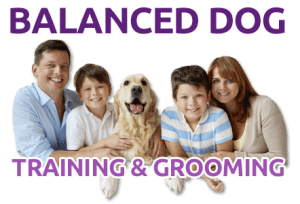 Balanced Dog Training & Grooming