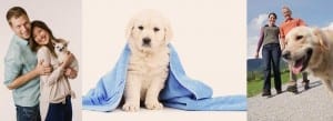 Dog Grooming Services