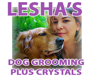 Balanced Dog Training & Grooming