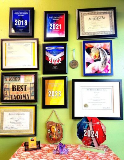 Lesha's Dog Grooming award wall