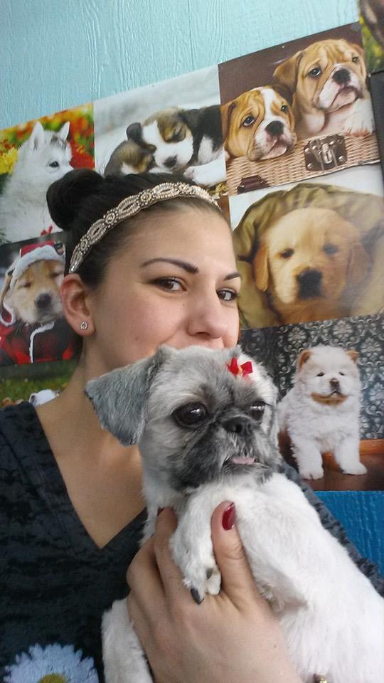 Dog after training and grooming