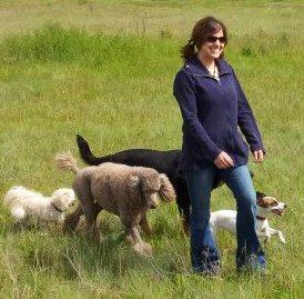 Life with trained and well groomed dog