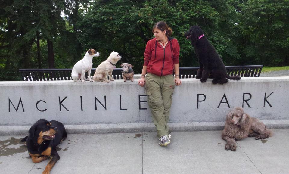 Life with trained and well groomed dog