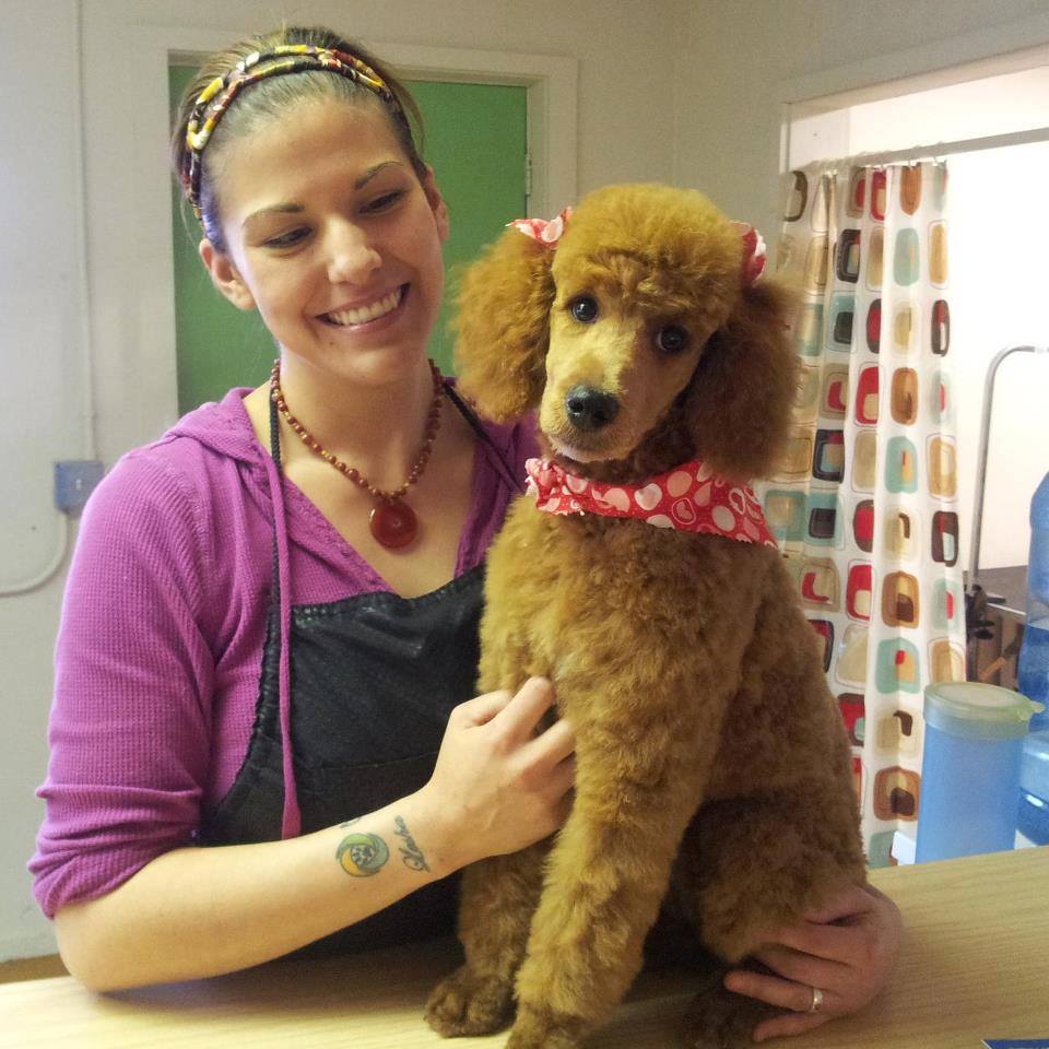 Life with trained and well groomed dog