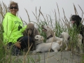 Trained dog with his owner on the ocean trip